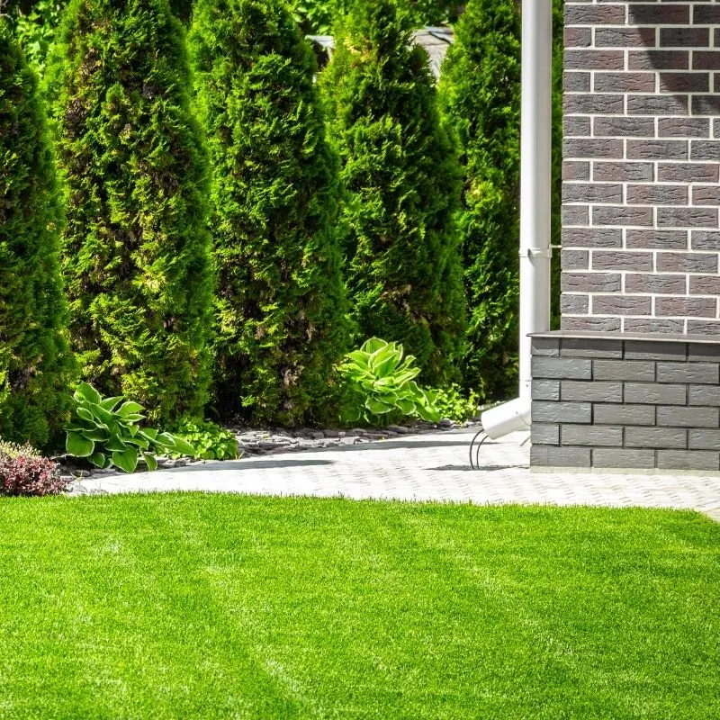 Green lawn in New Rochelle after curtain drainage installed